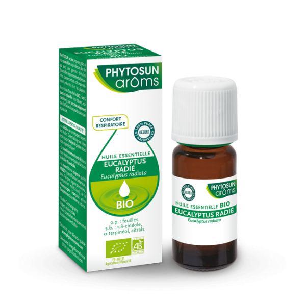 Eucalyptus radié bio